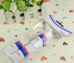 1+3 lint roller